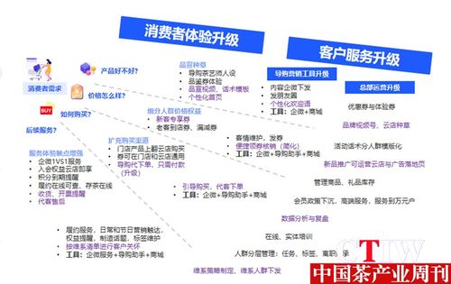 竹葉青攜手云徙深化數字化戰略,引領茶行業創新發展